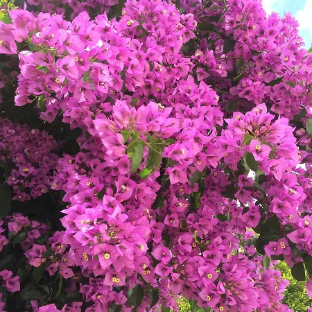 아파트 Sobre Ribas 2|12